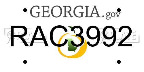 RAC3992 Georgia License Plate