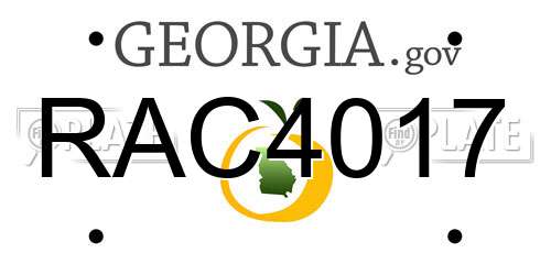 RAC4017 Georgia License Plate