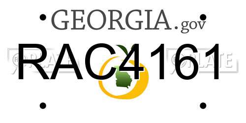 RAC4161 Georgia License Plate