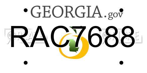 RAC7688 Georgia License Plate