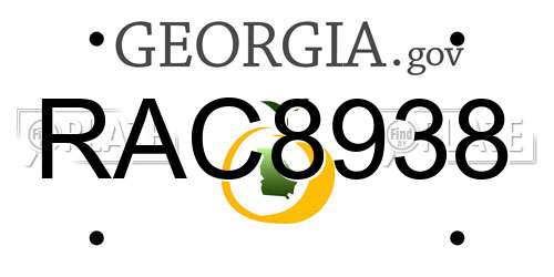 RAC8938 Georgia License Plate