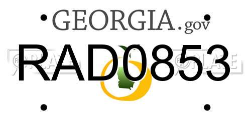 RAD0853 Georgia License Plate