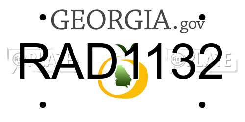 RAD1132 Georgia License Plate