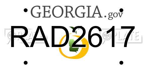 RAD2617 Georgia License Plate