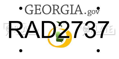 RAD2737 Georgia License Plate