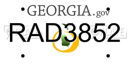 RAD3852 Georgia License Plate