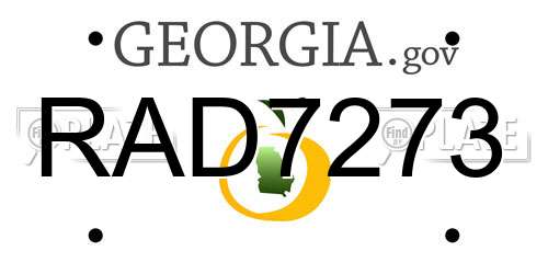 RAD7273 Georgia License Plate