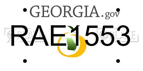 RAE1553 Georgia License Plate