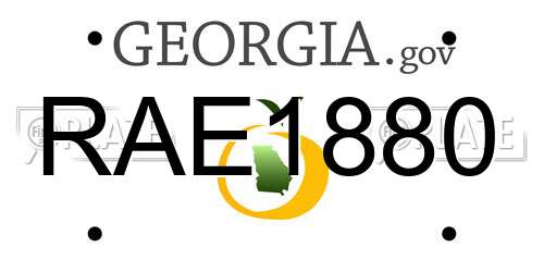 RAE1880 Georgia License Plate