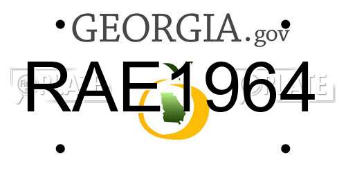 RAE1964 Georgia License Plate