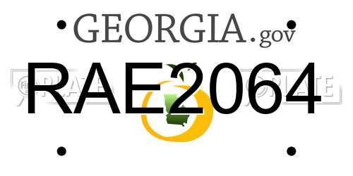 RAE2064 Georgia License Plate
