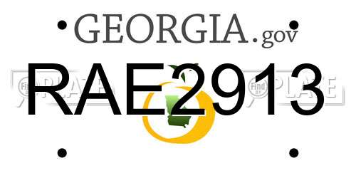 RAE2913 Georgia License Plate