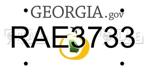 RAE3733 Georgia License Plate
