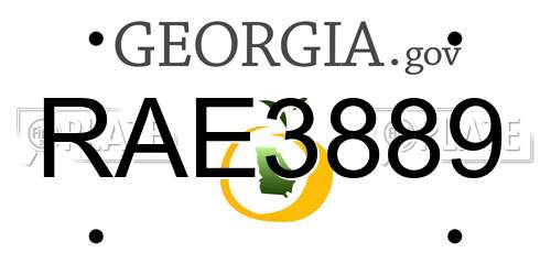 RAE3889 Georgia License Plate