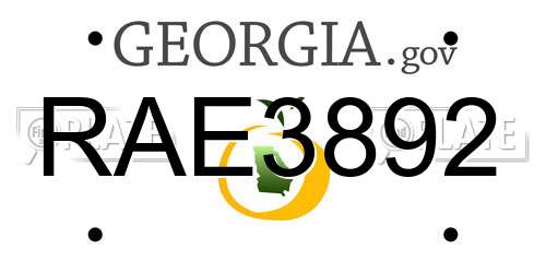 RAE3892 Georgia License Plate