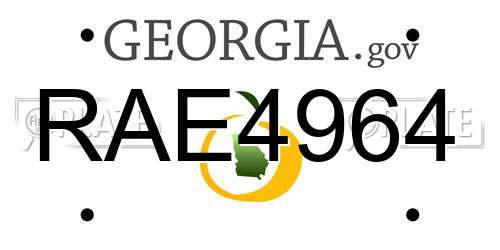 RAE4964 Georgia License Plate