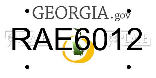 RAE6012 Georgia License Plate