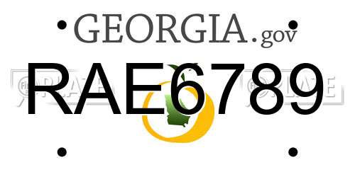 RAE6789 Georgia License Plate