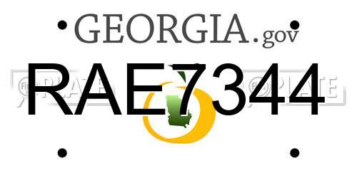 RAE7344 Georgia License Plate