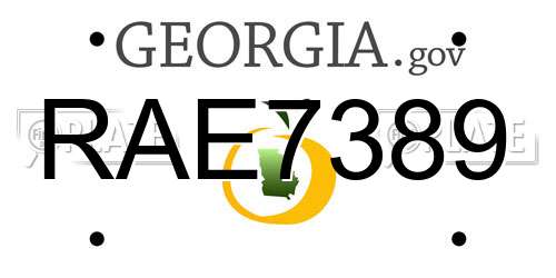 RAE7389 Georgia License Plate