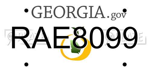 RAE8099 Georgia License Plate