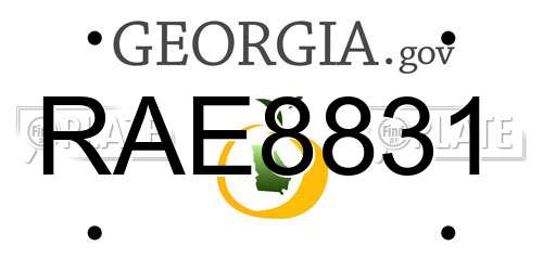 RAE8831 Georgia License Plate