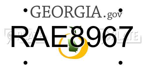 RAE8967 Georgia License Plate