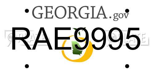 RAE9995 Georgia License Plate