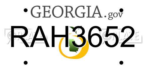 RAH3652 Georgia License Plate