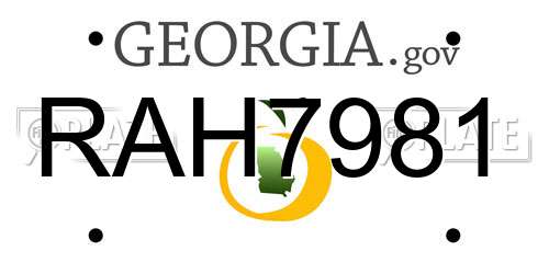 RAH7981 Georgia License Plate