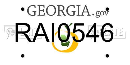 RAI0546 Georgia License Plate