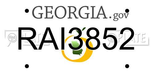RAI3852 Georgia License Plate