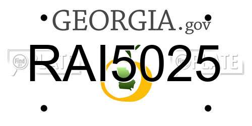 RAI5025 Georgia License Plate
