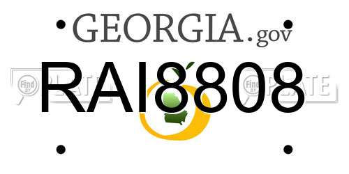 RAI8808 Georgia License Plate