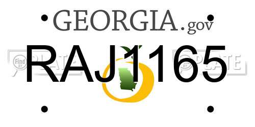 RAJ1165 Georgia License Plate