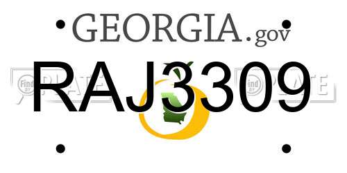 RAJ3309 Georgia License Plate