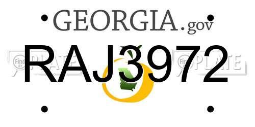 RAJ3972 Georgia License Plate