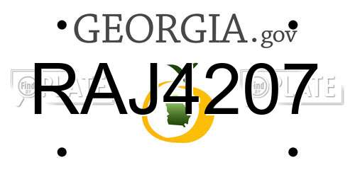 RAJ4207 Georgia License Plate