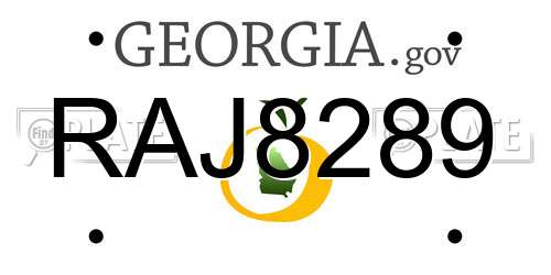 RAJ8289 Georgia License Plate