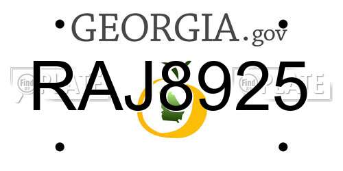 RAJ8925 Georgia License Plate