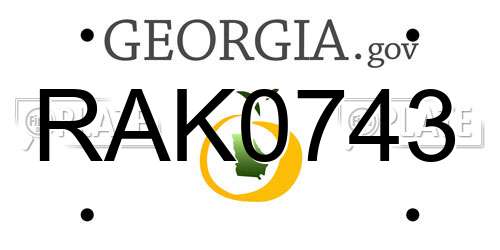 RAK0743 Georgia License Plate