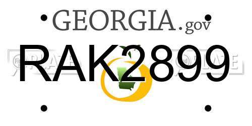 RAK2899 Georgia License Plate