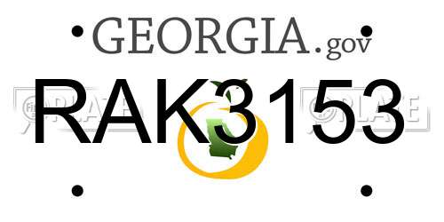 RAK3153 Georgia License Plate