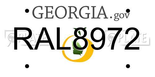 RAL8972 Georgia License Plate