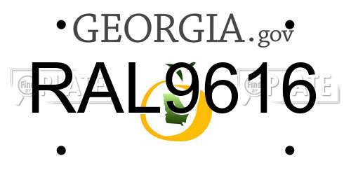 RAL9616 Georgia License Plate
