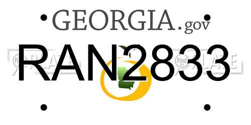 RAN2833 Georgia License Plate