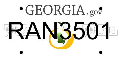 RAN3501 Georgia License Plate