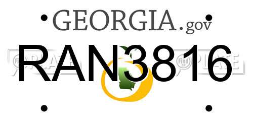 RAN3816 Georgia License Plate