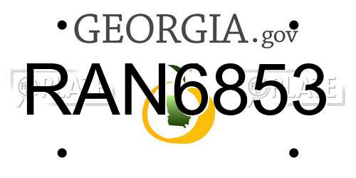 RAN6853 Georgia License Plate