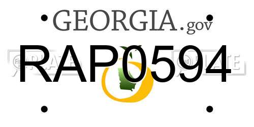 RAP0594 Georgia License Plate